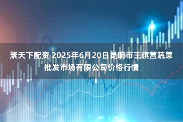 聚天下配资 2025年6月20日昆明市王旗营蔬菜批发市场有限公司价格行情