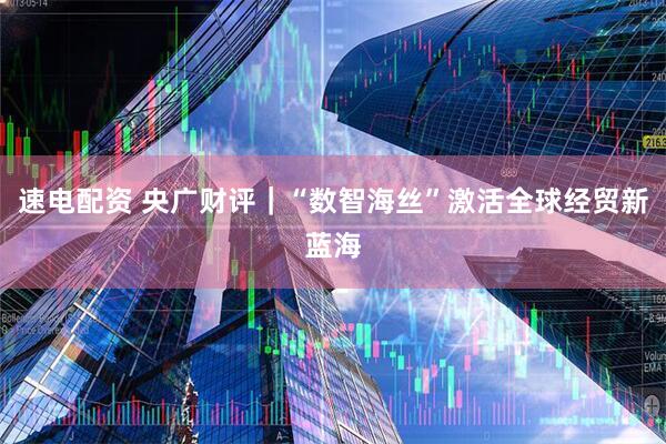 速电配资 央广财评｜“数智海丝”激活全球经贸新蓝海