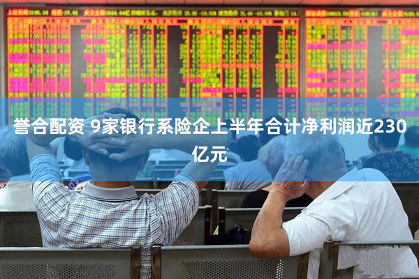 誉合配资 9家银行系险企上半年合计净利润近230亿元